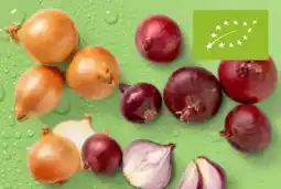 Kaufland Bio Zwiebeln Angebot
