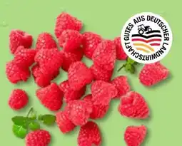 Kaufland Himbeeren Angebot