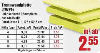 B1 Discount Baumarkt Trennwandplatte TWP1 Angebot