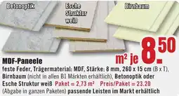 B1 Discount Baumarkt MDF-Paneele Angebot