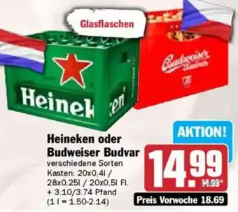 HIT Heineken oder Budweiser Budvar Angebot