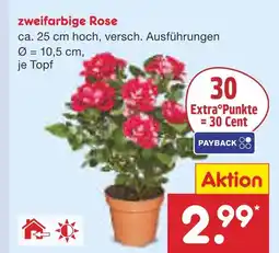 Netto Marken-Discount Zweifarbige rose Angebot
