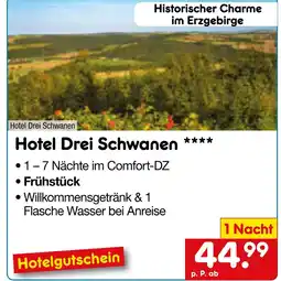 Netto Marken-Discount Hotel drei schwanen Angebot
