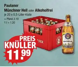 V Markt Paulaner münchner hell Angebot