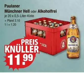V Markt Paulaner münchner hell Angebot