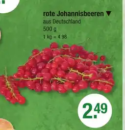 V Markt Rote johannisbeeren Angebot