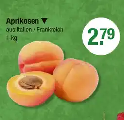 V Markt Aprikosen Angebot