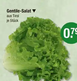 V Markt Gentile-salat Angebot
