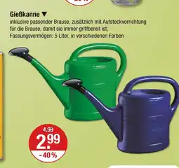 V Markt Gießkanne Angebot