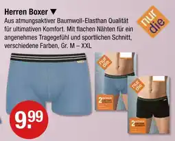 V Markt Nur die herren boxer blau Angebot