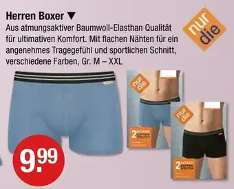 V Markt Nur die herren boxer blau Angebot