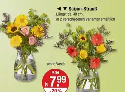 V Markt Saison-strauß variante 1 Angebot