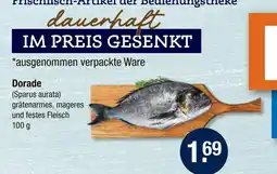 V Markt Dorade Angebot