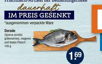 V Markt Dorade Angebot