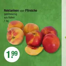 V Markt Nektarinen Angebot