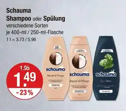 V Markt Schauma shampoo Angebot
