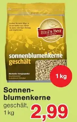 Wiglo Wunderland Sonnenblumenkerne Angebot