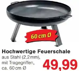 Wiglo Wunderland Hochwertige Feuerschale Angebot
