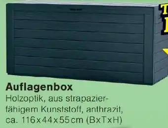 Wiglo Wunderland Auflagenbox Angebot