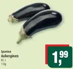 Markant Spanien Auberginen Angebot