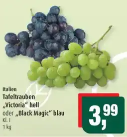 Markant Tafeltrauben ,,Victoria" hell oder,,Black Magic" blau Angebot