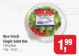 Markant Nico Frisch Single Salat Box Angebot