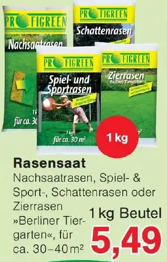 Wiglo Wunderland Rasensaat Angebot