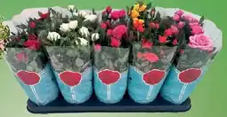Wiglo Wunderland Rose Angebot