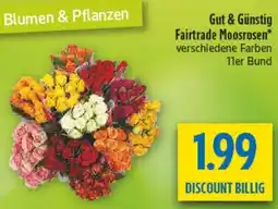 diska Gut & Günstig Fairtrade Moosrosen Angebot
