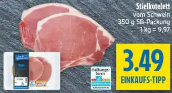 diska Stielkotelett Angebot