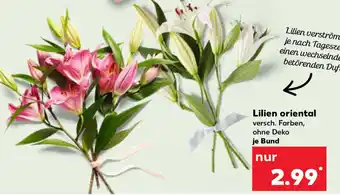 Kaufland Lilien oriental Angebot