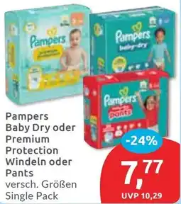 Budni Pampers Baby Dry oder Premium Protection Windeln oder Pants Angebot