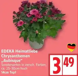 Edeka EDEKA Heimatliebe Chrysanthemen Angebot