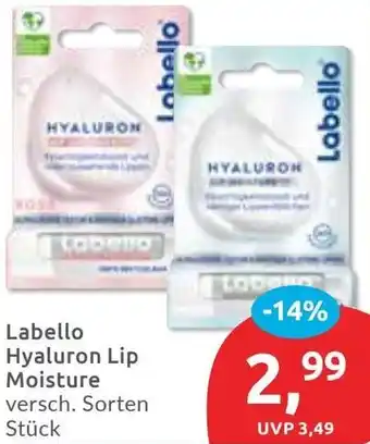 Budni Labello Hyaluron Lip Moisture Angebot