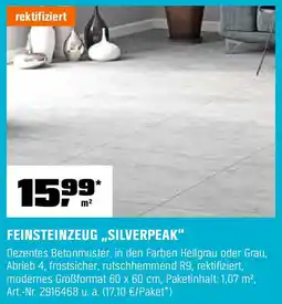 OBI FEINSTEINZEUG „SILVERPEAK" Angebot
