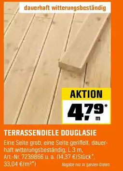 OBI TERRASSENDIELE DOUGLASIE Angebot