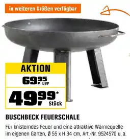 OBI BUSCHBECK FEUERSCHALE Angebot