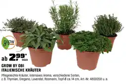 OBI GROW BY OBI ITALIENISCHE KRÄUTER Angebot