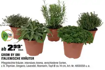 OBI GROW BY OBI ITALIENISCHE KRÄUTER Angebot