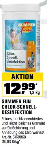 OBI SUMMER FUN CHLOR-SCHNELL- DESINFEKTION Angebot