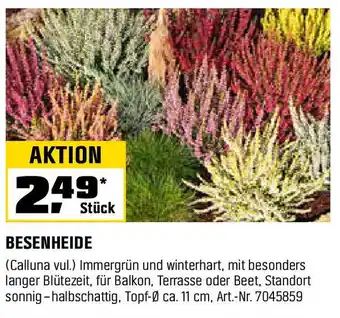 OBI BESENHEIDE Angebot