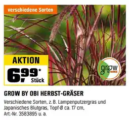 OBI GROW BY OBI HERBST-GRÄSER Angebot