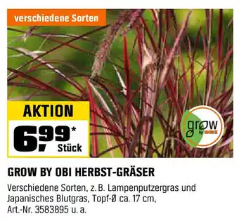 OBI GROW BY OBI HERBST-GRÄSER Angebot