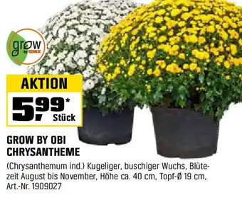 OBI GROW BY OBI CHRYSANTHEME Angebot