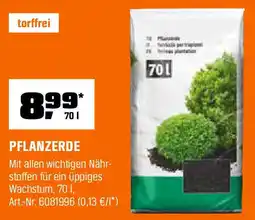 OBI PFLANZERDE Angebot