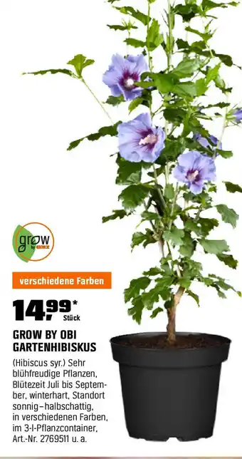 OBI GROW BY OBI GARTENHIBISKUS Angebot