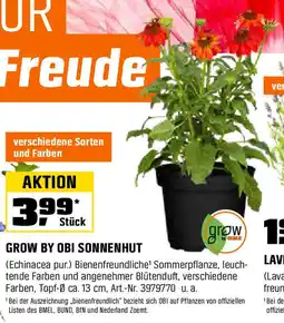 OBI GROW BY OBI SONNENHUT Angebot