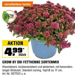 OBI GROW BY OBI FETTHENNE SORTENMIX Angebot