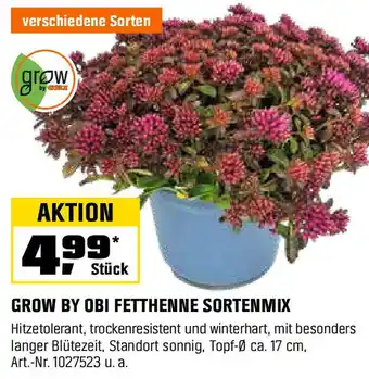 OBI GROW BY OBI FETTHENNE SORTENMIX Angebot