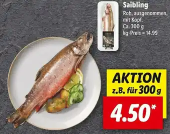 Lidl Saibling Angebot